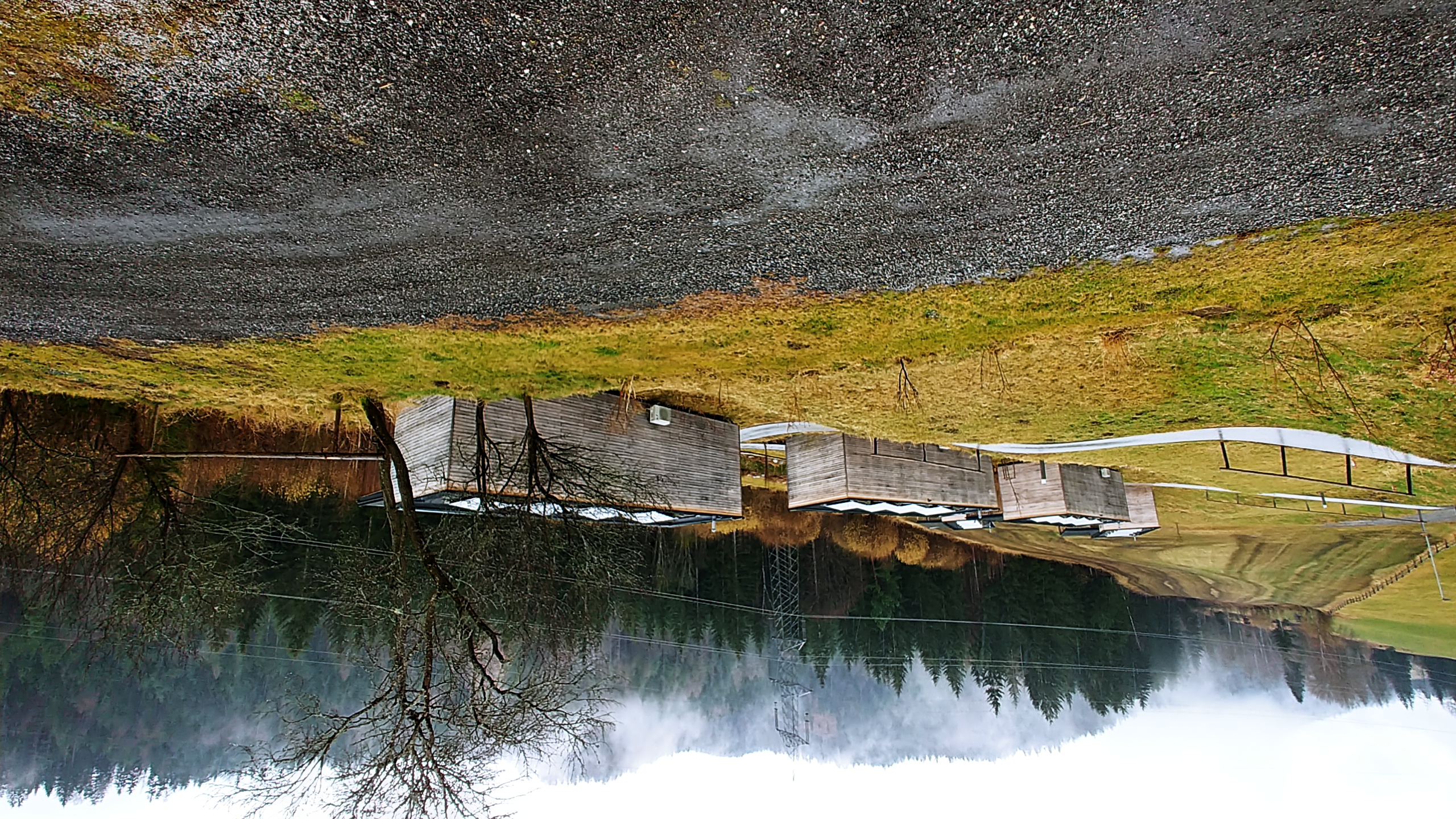 20250314_120324_HDR.jpg