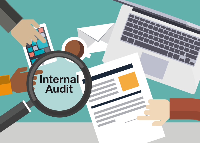 internal_audit.png